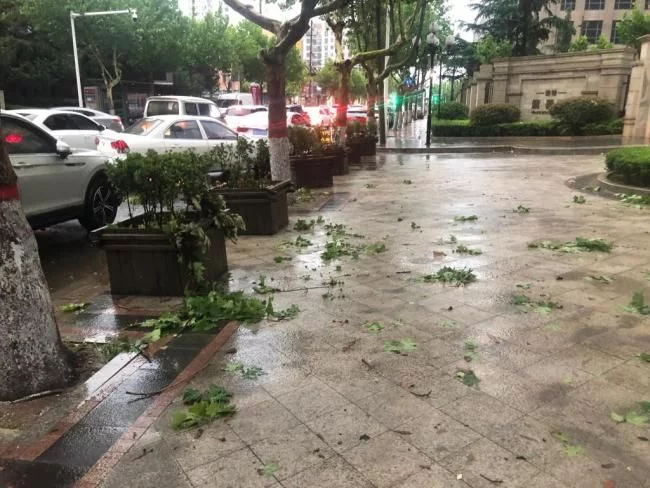 青岛遭暴雨袭击！有路段积水齐腰