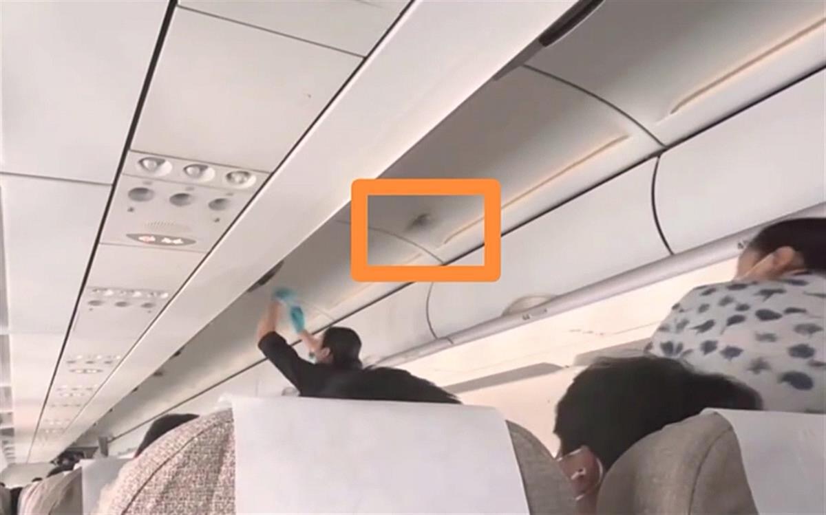 东航回应客机高空飞行时舱内飞出小鸟：正调查，将通报